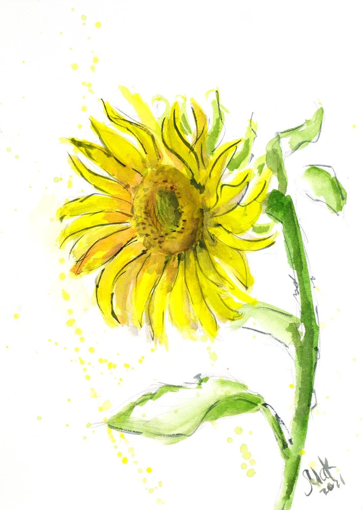 Original watercolor sunflower painting, yellow bloom with green stem and leaves