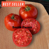 50+ Seeds Jetstar Tomato Juicy Easy to Grow Vegetable Garden Planting Jet Star Garden Plants