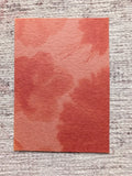 Original ACEO Botanical Print Ð Sunlit Petal Echo VIII Turmeric Anthotype OOAK Hydrangea