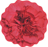 Red Carnation Flower Hand Towel Made in IMABARI JAPAN REALISTIC MOTIF TOWEL Carnation