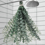 11 PCS Dried Eucalyptus Stems 17'' Natural Leaves for Shower & Home Decor Green Plant