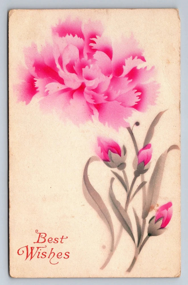 Vintage Pink Carnation Best Wishes Postcard Printed in Saxony 1910s Carnation