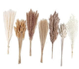 Dried Pampas Grass Decor, 128PCS Pampas Grass with Bunny Tails Dried Flowers, Pampas Grass