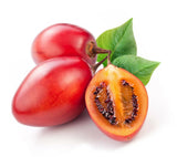 Red Tamarillo Seeds ~Solanum betaceum~ Easy to Grow ~Cyphomandra~ Tree Tomato Flowering Plants