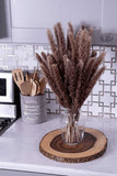30 18inch Small Pampas Grass Decor for Home, Office, Weddings or Any Space Pampas Grass