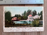 1906 Eastlake Park Los Angeles California Postcard Pampas Grass Vintage Pampas Grass