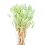 120pcs Natural Bunny Tail Dried Flowers 24" Mini Pampas Grass, Bright green Dried Flower