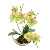 Realistic Artificial Orchid Potted Plant 27cm for Home and Wedding Centerpieces Green Plant