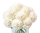 Artificial Flowers, 10Pcs Fake Flowers Silk Artificial Chrysanthemum Ball Hyd... Hydrangea