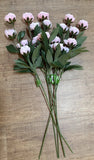 New Set Of 5 Ashland by MichaelÕs 27Ó Pink Peony Stems Peony