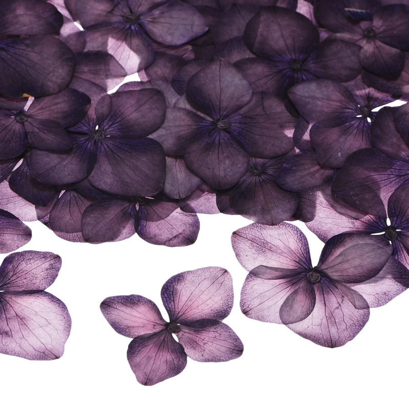 60-Pack Dried Pressed Flowers for Resin, Real Bulk Dry Floral [Dark Purple] Dried Flower