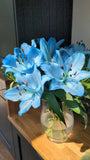 Double Oriental Lily for Home and Gardening Pack of 2 bulbs (BLUE) Lily