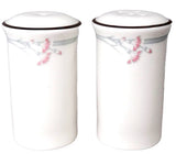 CARNATION H5084 by Royal Doulton Salt & Pepper Set NEW NEVER USED made England Carnation