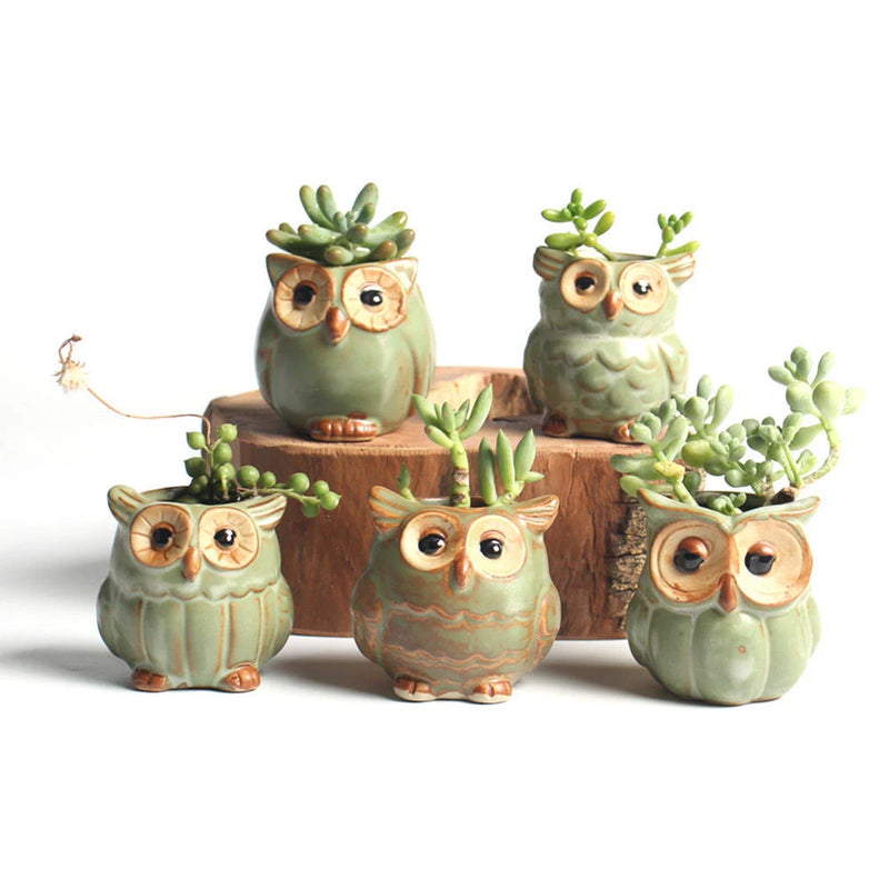 5x Mini Ceramic Plant Pot Owl Succulent Flower Planter Bonsai Box Garden Home Garden Plants