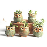 5x Mini Ceramic Plant Pot Owl Succulent Flower Planter Bonsai Box Garden Home Garden Plants