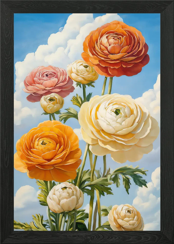 Bloom in Ranunculus Framed Wall Art Poster Canvas Print Picture Ranunculus