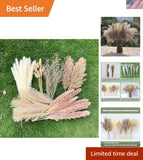 Pampas Grass Dried Flowers 100Pcs Boho Decor Wedding Farmhouse Office Dried Flower
