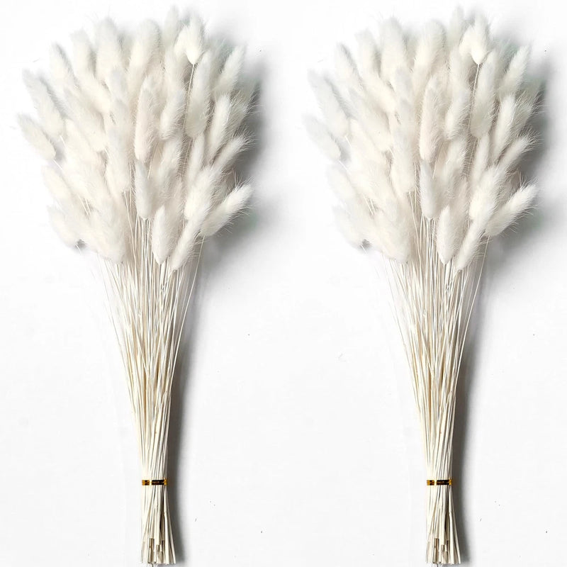 120 PCS White Dried Pampas Grass Decor, 17-inch Pompas Floral, Dry Flowers Pampas Grass