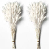 120 PCS White Dried Pampas Grass Decor, 17-inch Pompas Floral, Dry Flowers Pampas Grass