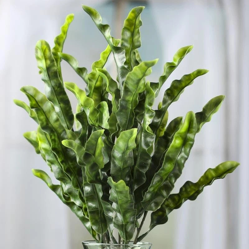 Decorative ruffled sword-leaf greenery bush with bright green leaves in a cluster