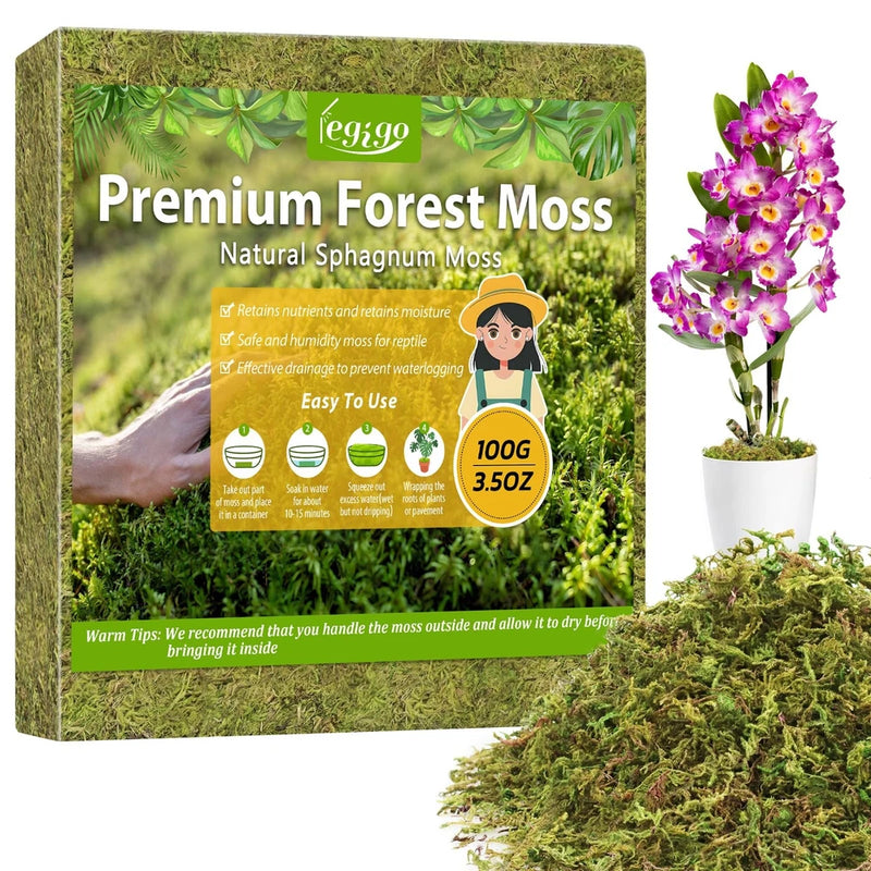 Forest moss for plants, natural sphagnum moss packaging box