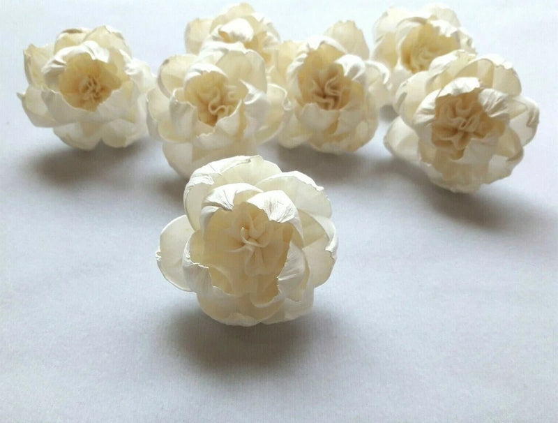 Peony w/Carnation Flowers Balsa Wood Craft Decor Fragrance Wedding Bouquet Gift Carnation