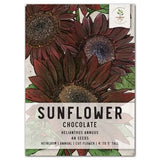 Chocolate Cherry Sunflower Seeds For Planting (Helianthus annuus) Sunflower