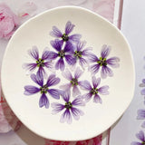 12PCS side Pressed real Dried flower, purple cherry flower with stem FHT56 Dried Flower