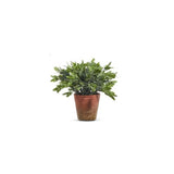 Raz Imports Soft Touch Potted Herb, Thyme - 12" (4402037B) Green Plant