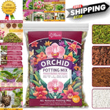 1QT  Orchid Potting Mix - Organic Repotting Kit for Indoor Plants,ctzone  97.7% positive (20.9K) Orchids