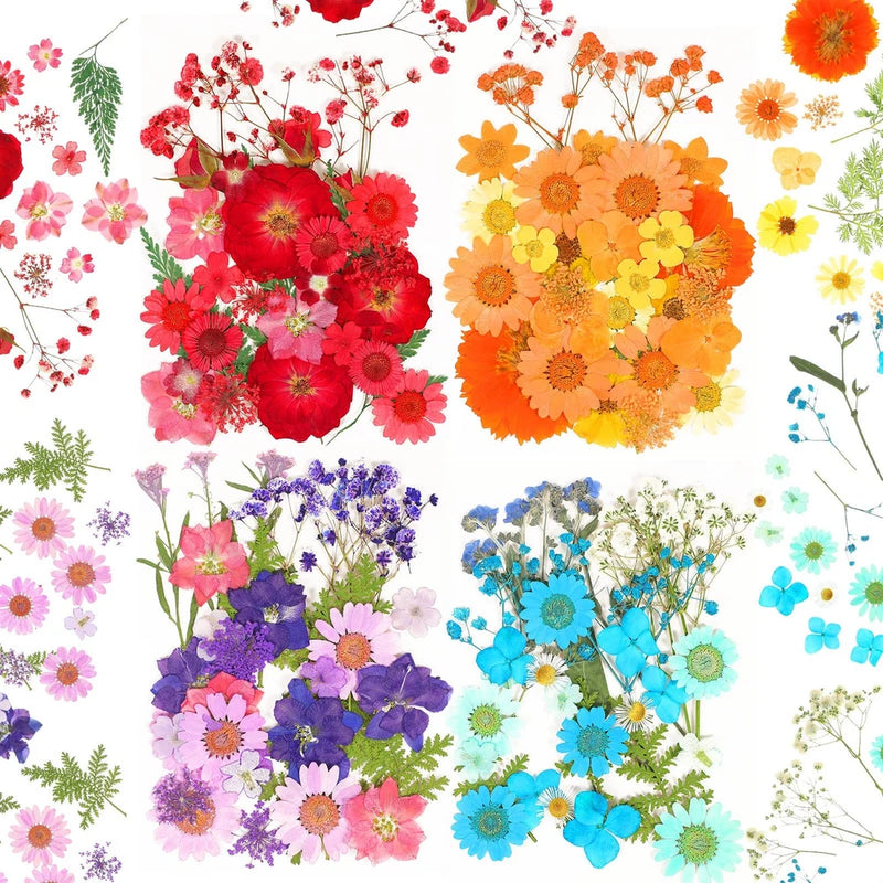 Assorted dried pressed flowers, colorful mix for resin and crafts, flat preserved blooms