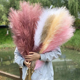 Natural Dried Reed Flower - Artificial Pampas Grass Floral Bouquet Decoration Pampas Grass