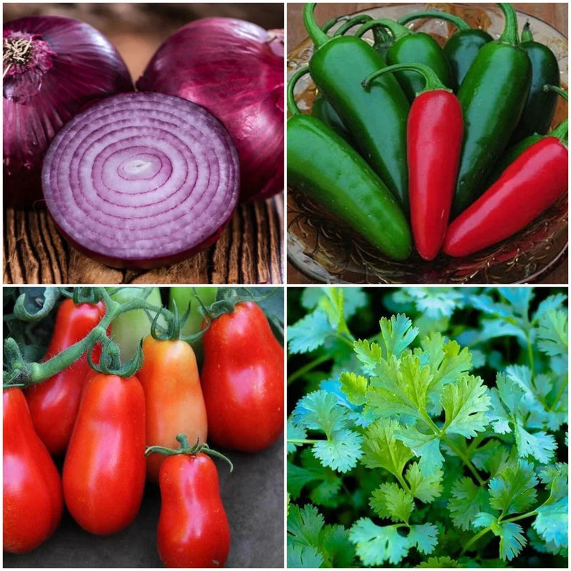 Easy-Gro Salsa Garden Seed Kit Over 100 Seeds Garden Plants