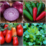 Easy-Gro Salsa Garden Seed Kit Over 100 Seeds Garden Plants