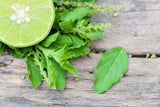 150 LIME BASIL Ocimum Basilicum HERB Flower Seeds Flowering Plants