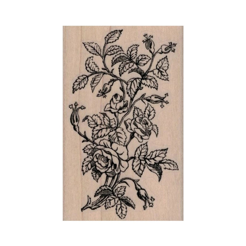 NEW Rose Bush by Cat Kerr RUBBER STAMP, Flower Stamp, Rose Stamp, Roses Stamp Roses