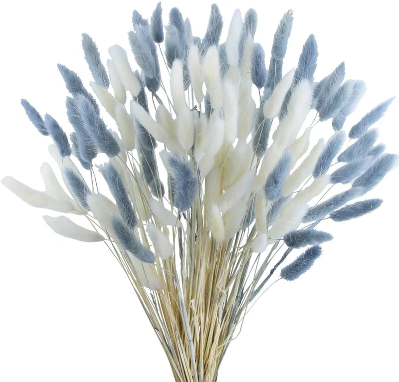120Pcs Dried Bunny Tails Flowers Lagurus Ovatus Tail Dried Flowers Pampas Grass Pampas Grass