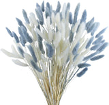 120Pcs Dried Bunny Tails Flowers Lagurus Ovatus Tail Dried Flowers Pampas Grass Pampas Grass