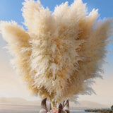 Pasuvsigt 40" inch 36 Stems Natural Pampas Grass Decor Tall, Boho Home Decor,... Pampas Grass