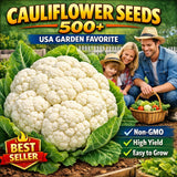 Snow White Cauliflower Seeds 500+ Ð Non-GMO Heirloom Large Head Easy Grow Garden Garden Plants