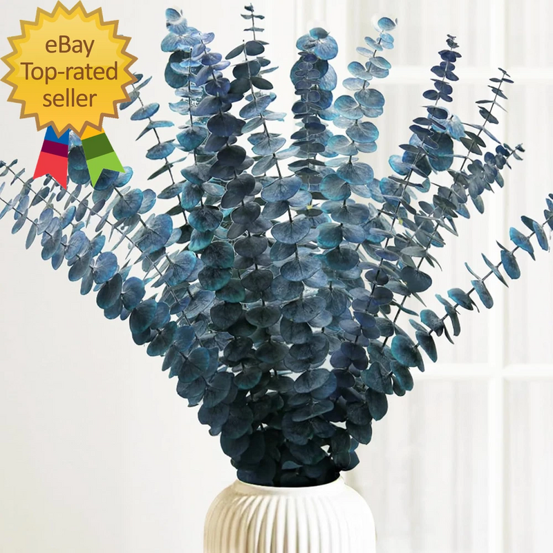 Preserved dried blue-green eucalyptus stems, 16–17 in bunch with multiple sprigs