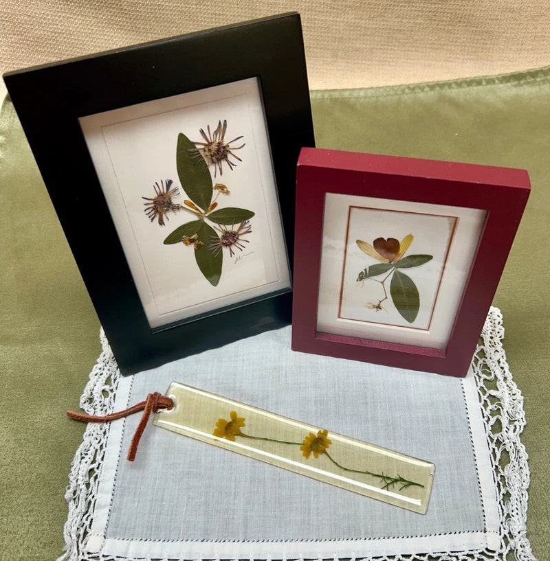 Pressed flower set: two small frames and dried flower bookmark