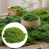 False Moss DIY Artificial Moss Block Landscaping Tank Decoration Floristry Green Plant