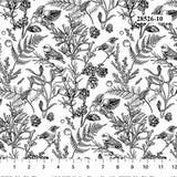 Sketchbook Black on White Botanical cotton quilt fabric BTY Northcott 28526-10 Flowering Plants