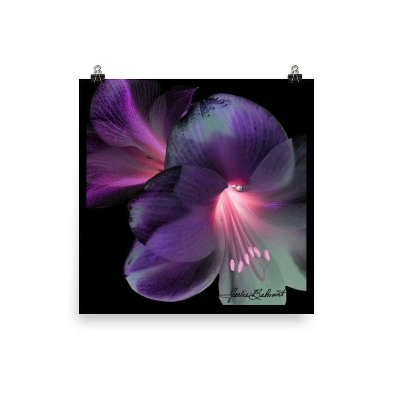 Floral photo poster with close-up purple lily bloom and pink glowing center