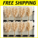 Natural Pampas Grass Decor Bundle - 40 Stems Pampas Grass