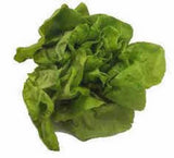 Salad Mix Garden Collection, Heirloom  Seeds, 6 Top Varieties Garden Plants