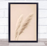 Pampas Grass Begie 15 Dried Botanical Studio Wall Art Print Pampas Grass