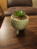 Standing Ceramic Succulent Assorted Artificial 5 x 4.5in Green Medium Decor Home Green Plant