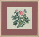 M.B. - 1995 Watercolour, Ranunculus Ranunculus